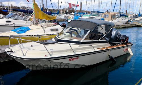Boston Whaler Revenge 20 ficha tecnica 